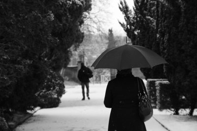 Chemin zen_4316967434_l.jpg